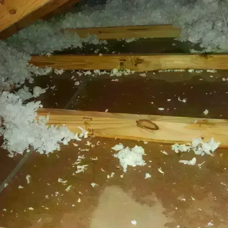 Attic Water Damage in Rockport, IN