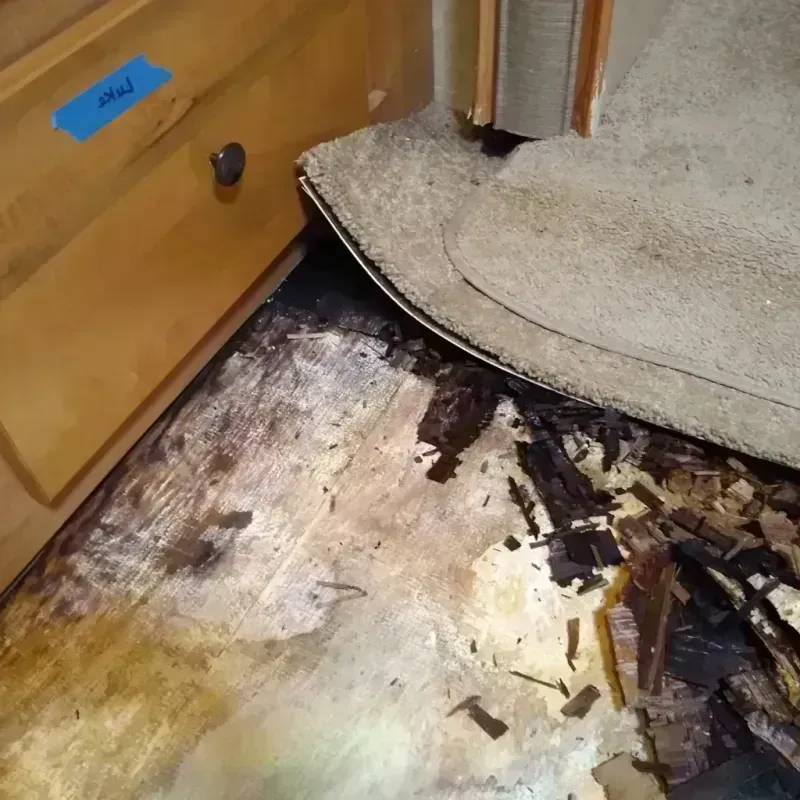 Best Wood Floor Water Damage Service in Rockport, IN